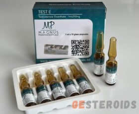 Testosterone Enanthate Magnus 250/10 amp