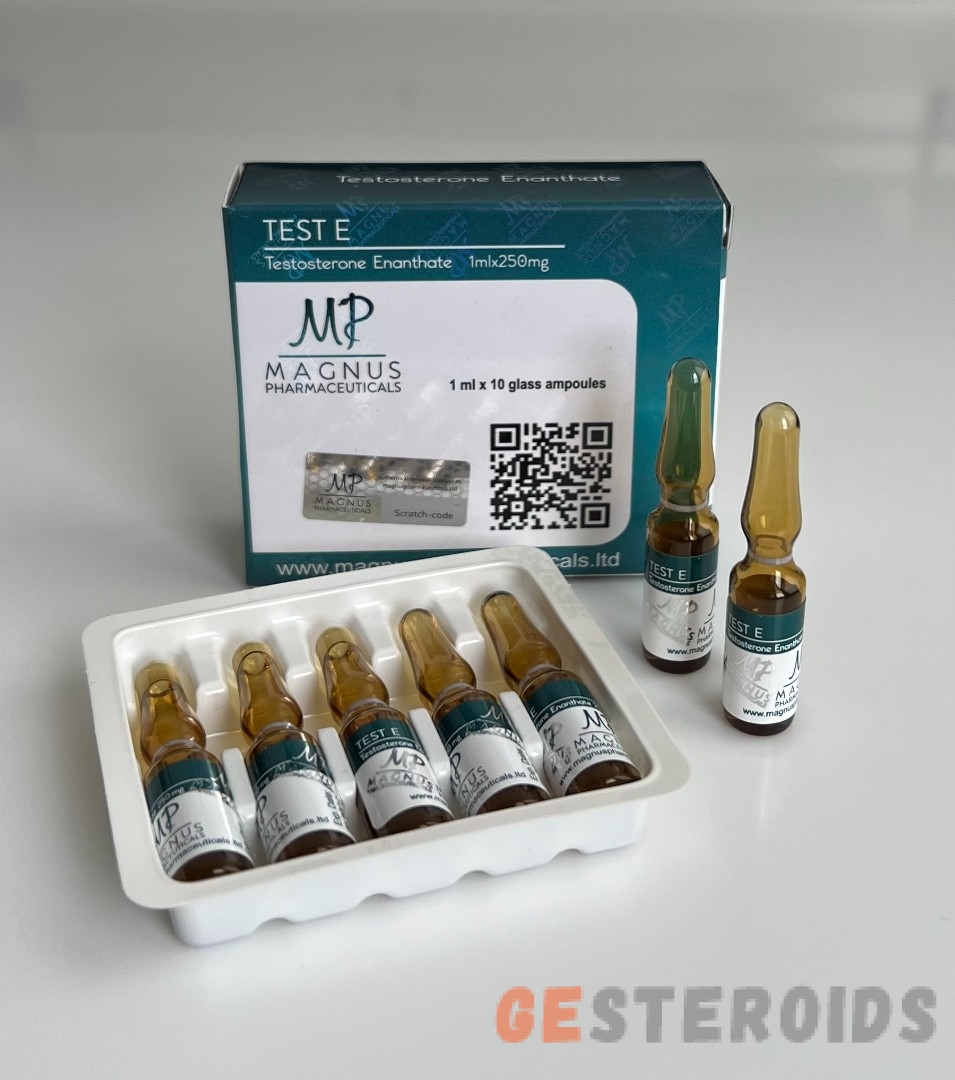 Testosterone Enanthate Magnus 250/10 amp