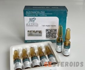 Sustanon Magnus 250/10 amp