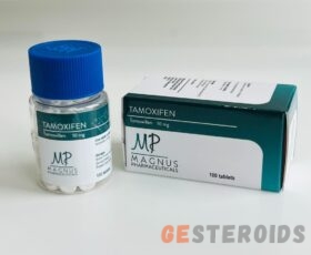Tamoxifen 100tab / 10mg Magnus