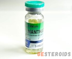 Testosterone Enanthate SP labs 250/10ml vial
