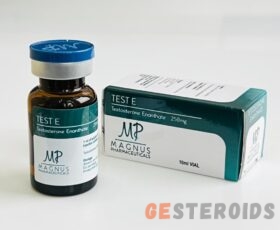 Testosterone Enanthate Magnus  250/10ml vial
